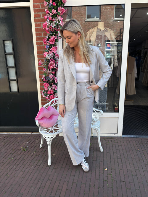 DIANA PANTALON LIGHT GREY